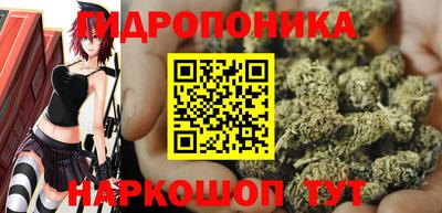 apvp Кингисепп