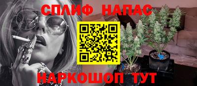 apvp Кингисепп