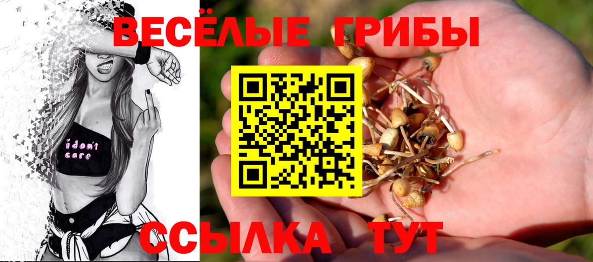 Котовск  Псилоцибиновые грибы Psilocybe  Вход с VPN 