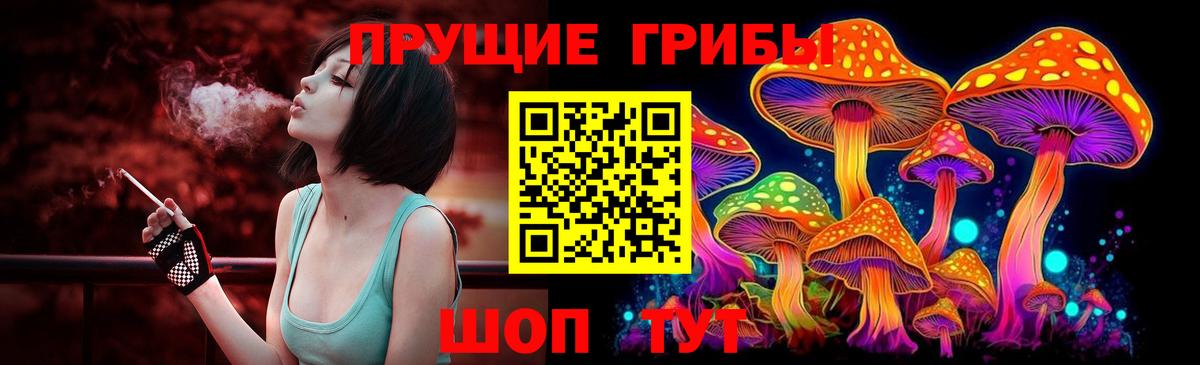 Псилоцибиновые грибы мухоморы Котовск